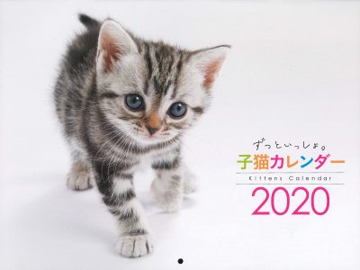 なんて癒し かわいすぎる 子猫カレンダー で感じた5つの幸せ 記事詳細 Infoseekニュース
