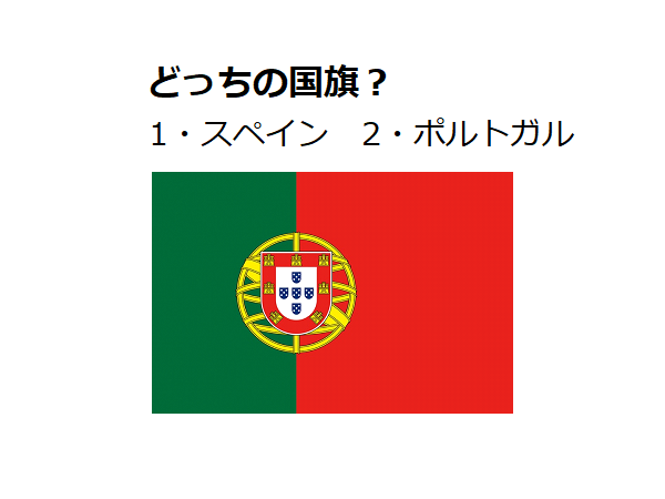 世界の国旗 万国旗 ポルトガル 70×105cm - 5