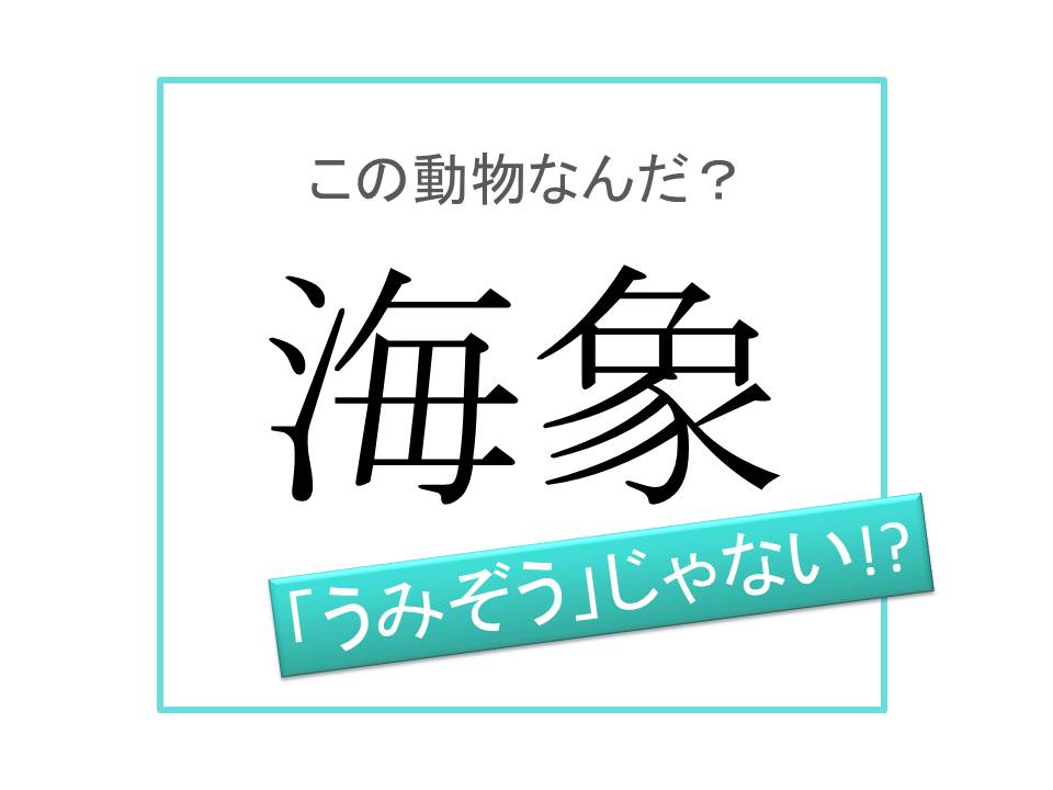 【動物漢字】「うみぞう」ではありません！「海象」は何と読む？ 記事詳細｜Infoseekニュース