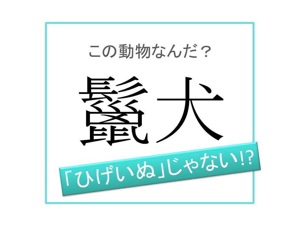 【動物漢字】「ひげいぬ」ではありません！「鬣犬」は何と読む？ 記事詳細｜Infoseekニュース