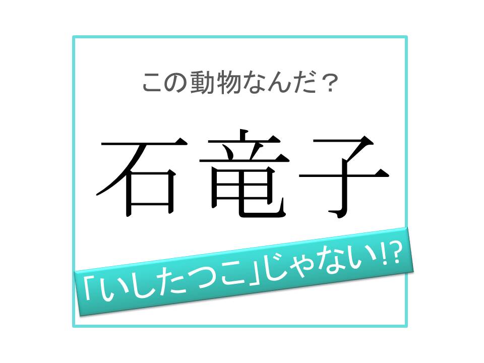 動物漢字 いしたつこ ではありません 石竜子 は何と読む 記事詳細 Infoseekニュース