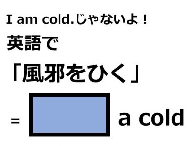 英語で 虫歯 はなんて言う Otona Salone オトナサローネ 自分らしく 自由に 自立して生きる女性へ