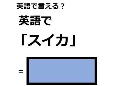 英語で スイカ はなんて言う Otona Salone オトナサローネ 自分らしく 自由に 自立して生きる女性へ