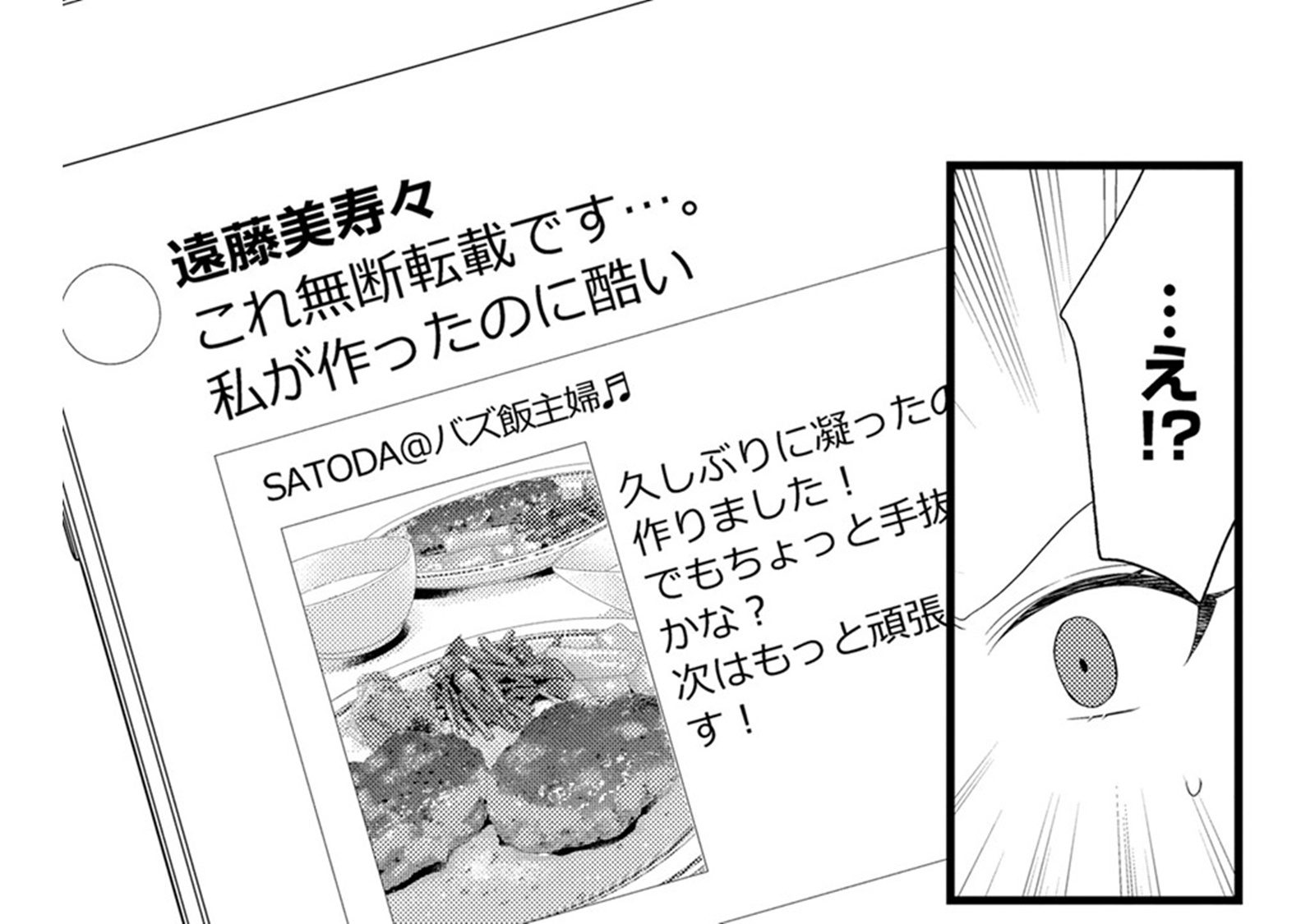 「フォロワー1万人の私が使ってあげたのよ？」無断転載した写真の「撮影者の正体」に驚愕！【裏...