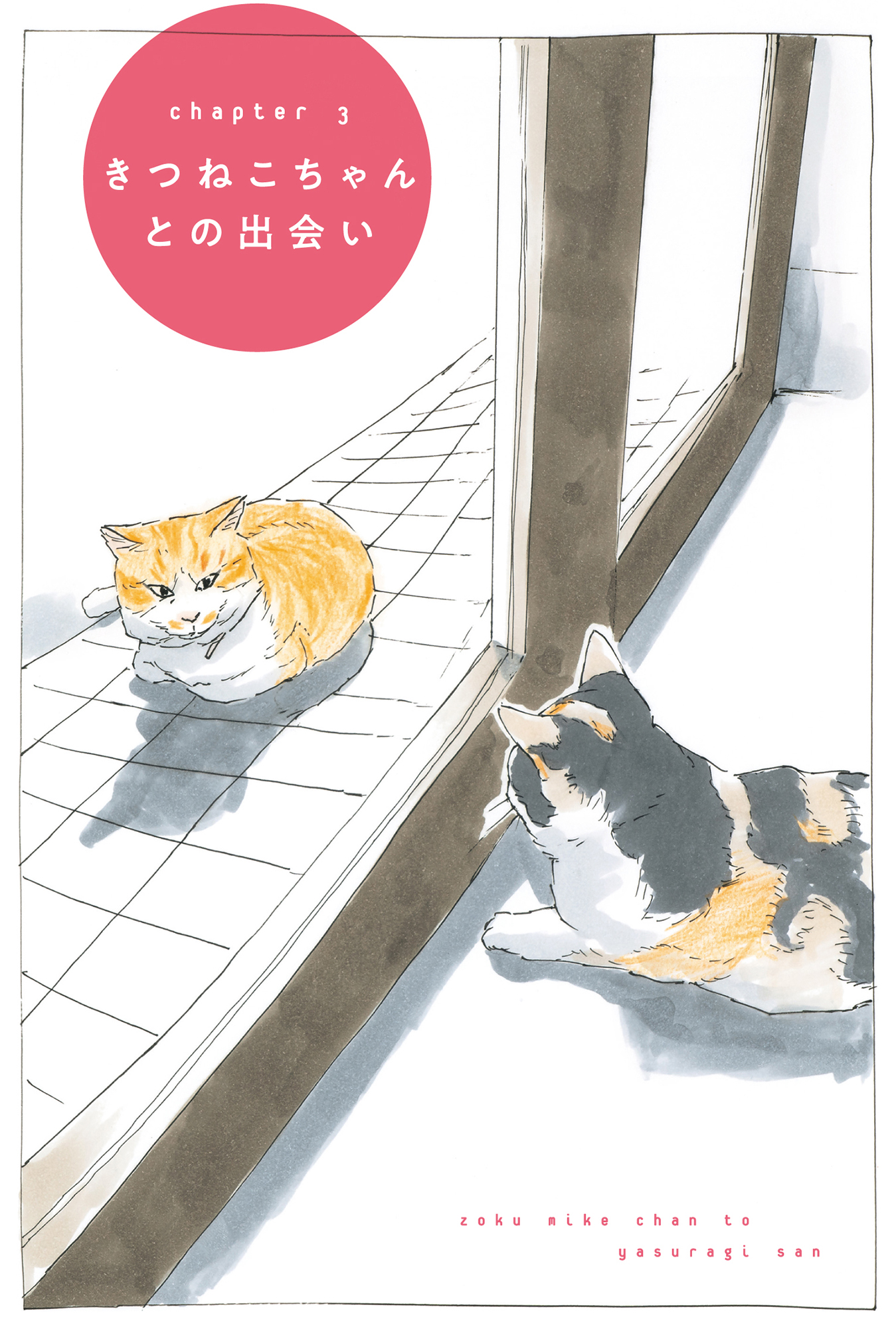 もう寒い季節は終わったよ」という知らせが…咲き誇る桜を見て2匹の猫