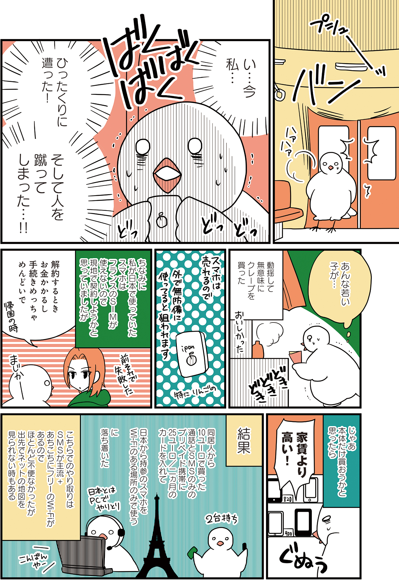 フランスはとにっき: 海外に住むって決めたら漫画家デビュー