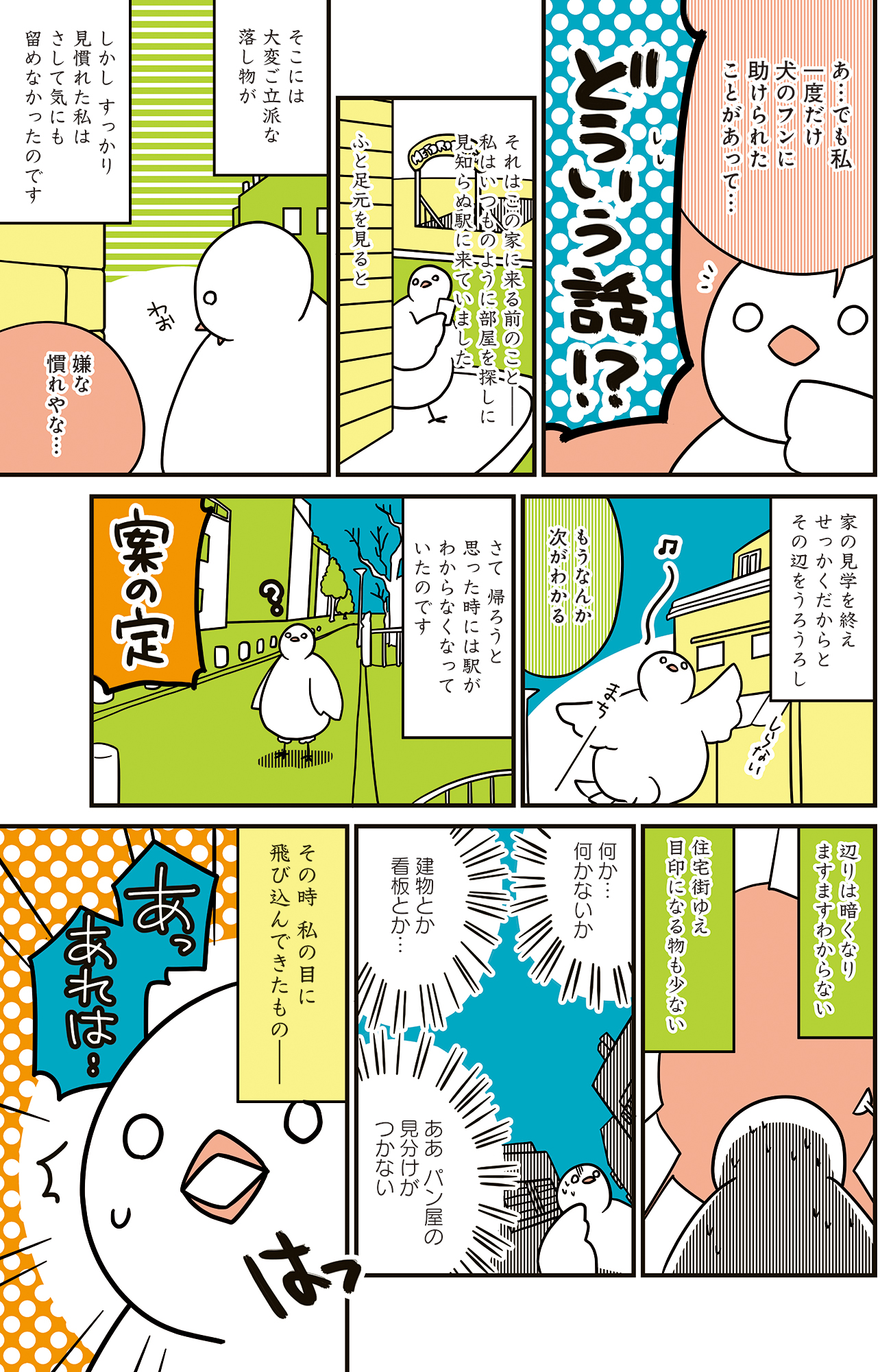 フランスはとにっき: 海外に住むって決めたら漫画家デビュー