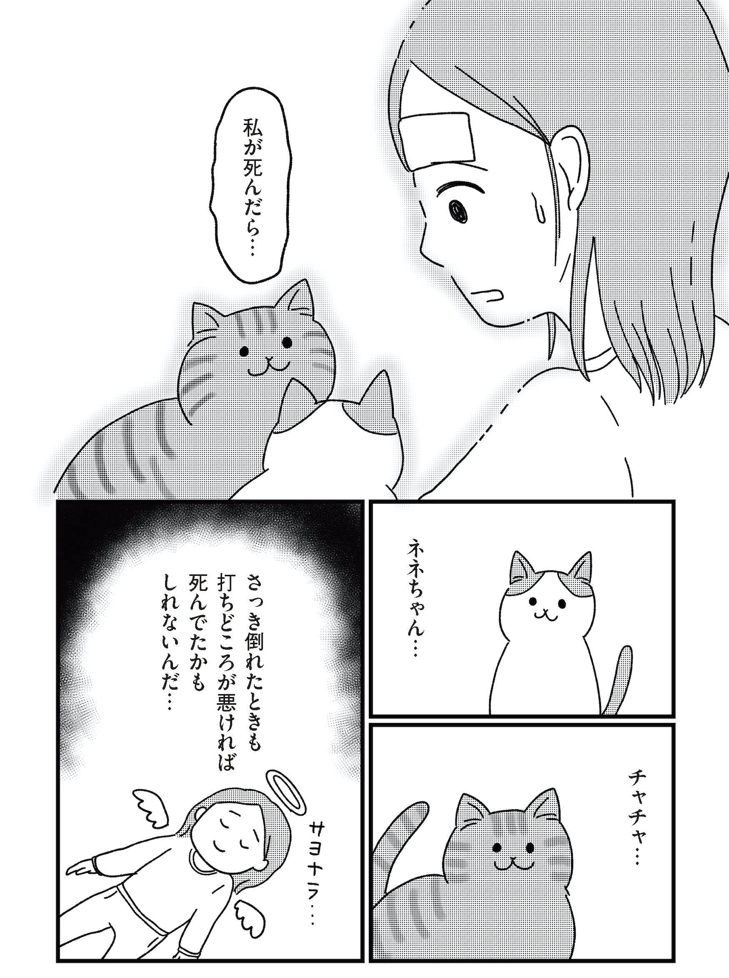 ねこ婚 猫のための交際ゼロ日婚