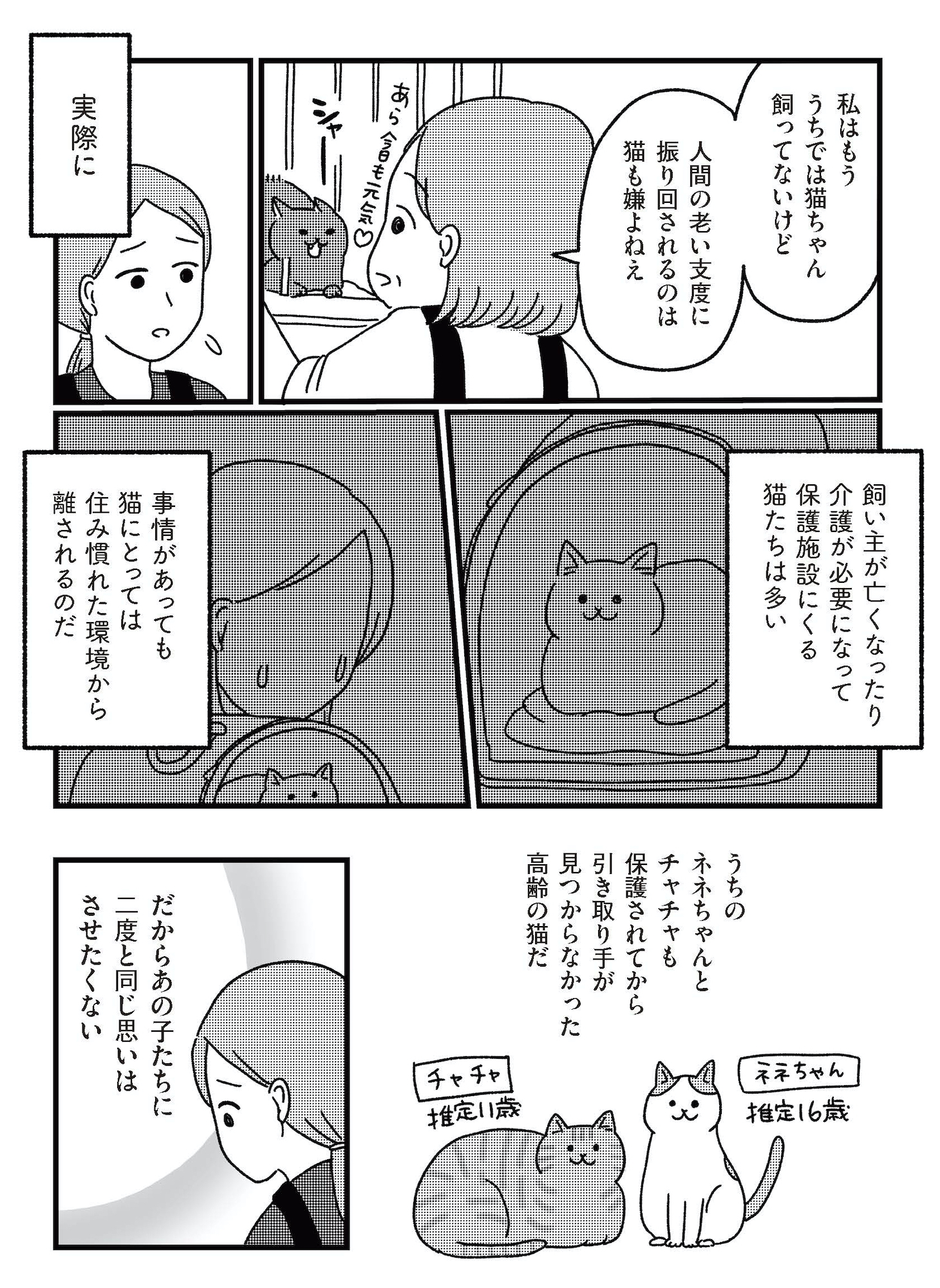 ねこ婚 猫のための交際ゼロ日婚