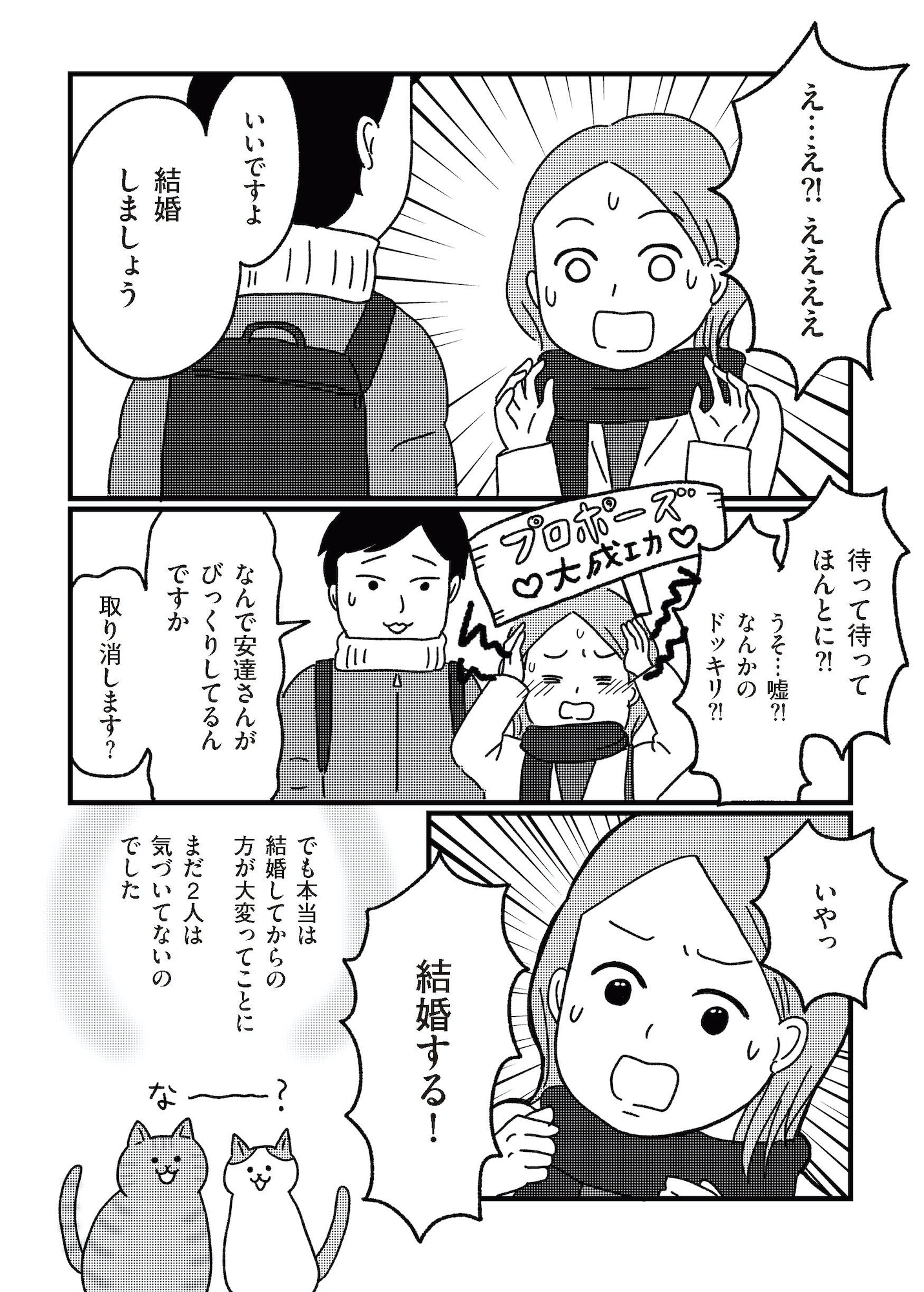 ねこ婚 猫のための交際ゼロ日婚
