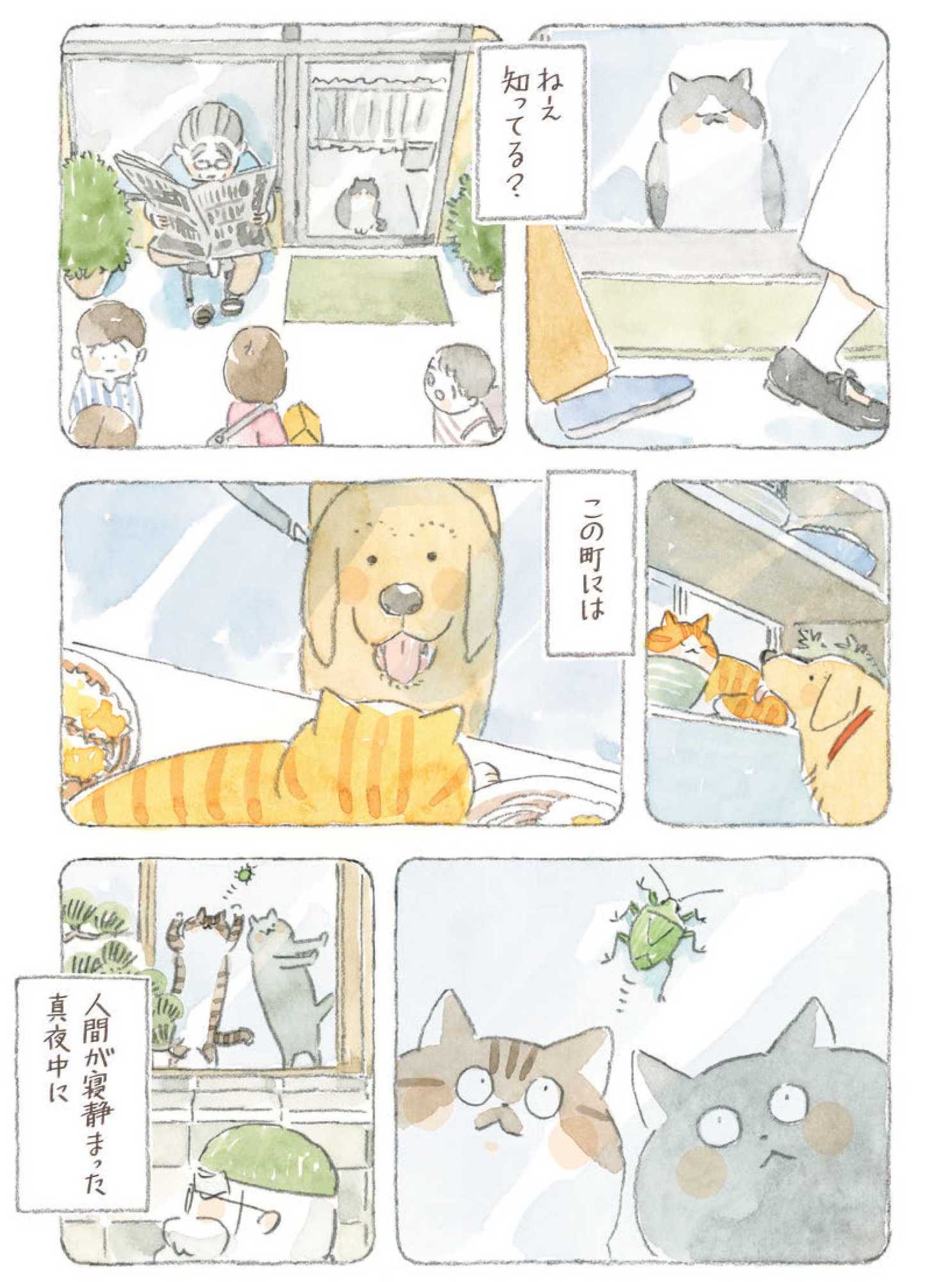 深夜3時のくろねこ喫茶2