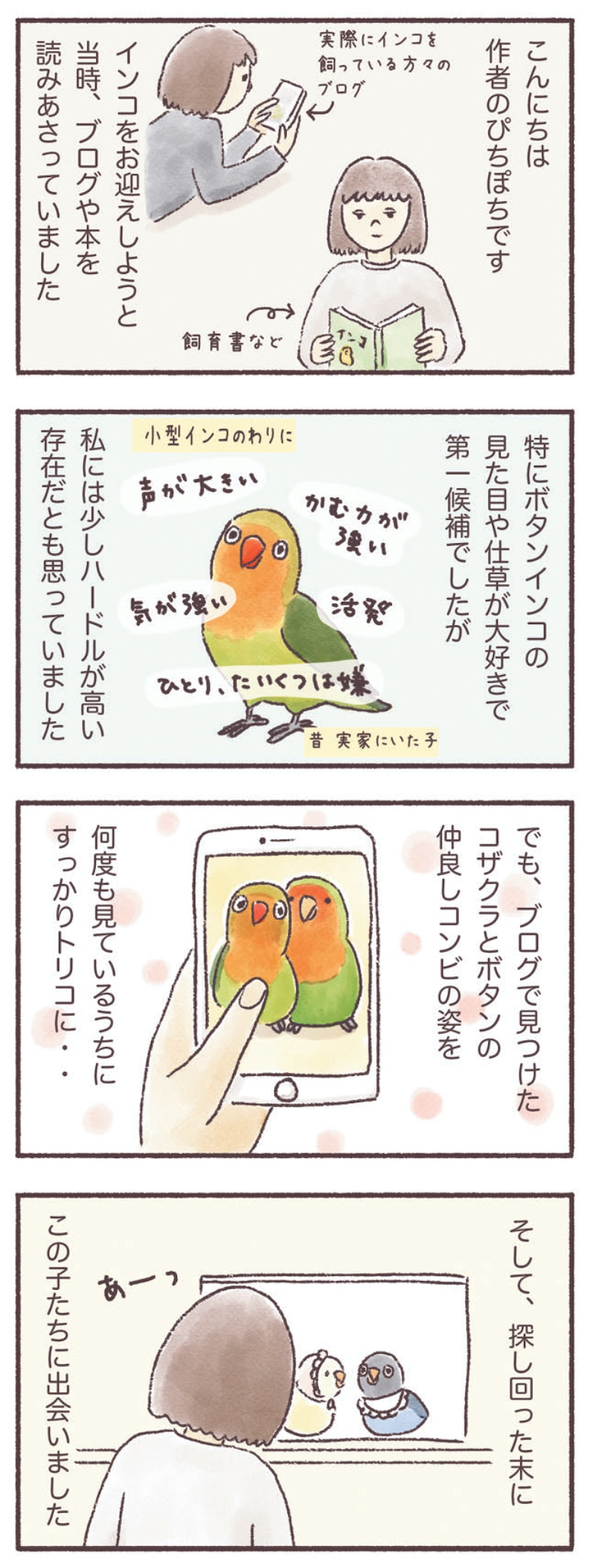 うちのインコたちは今日もおしゃべり
