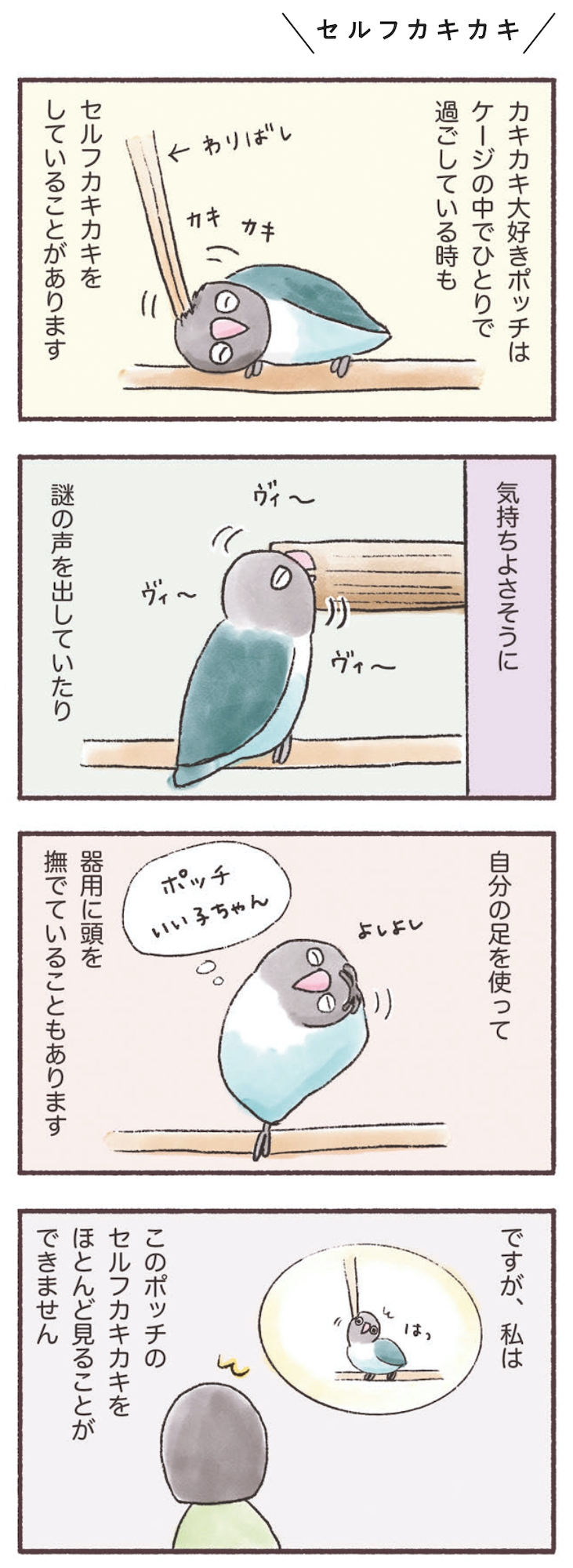 うちのインコたちは今日もおしゃべり
