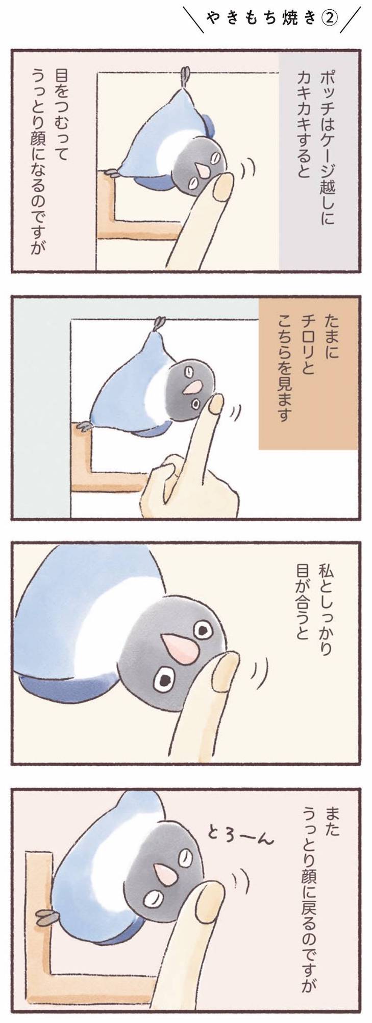 うちのインコたちは今日もおしゃべり