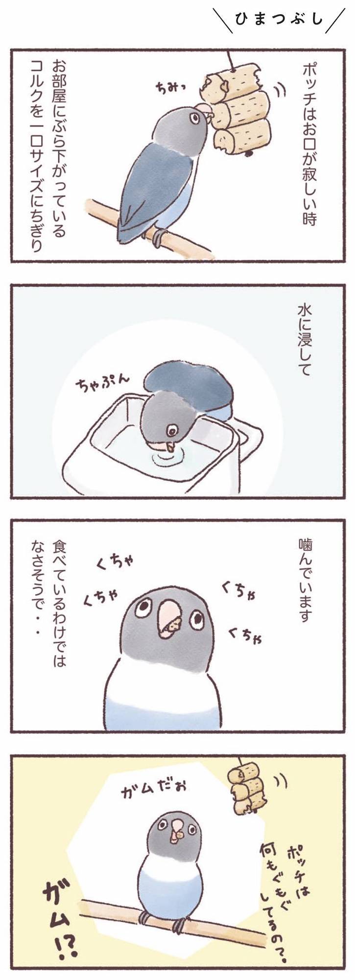 うちのインコたちは今日もおしゃべり
