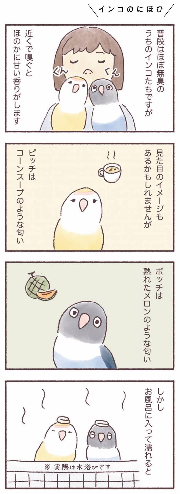 うちのインコたちは今日もおしゃべり