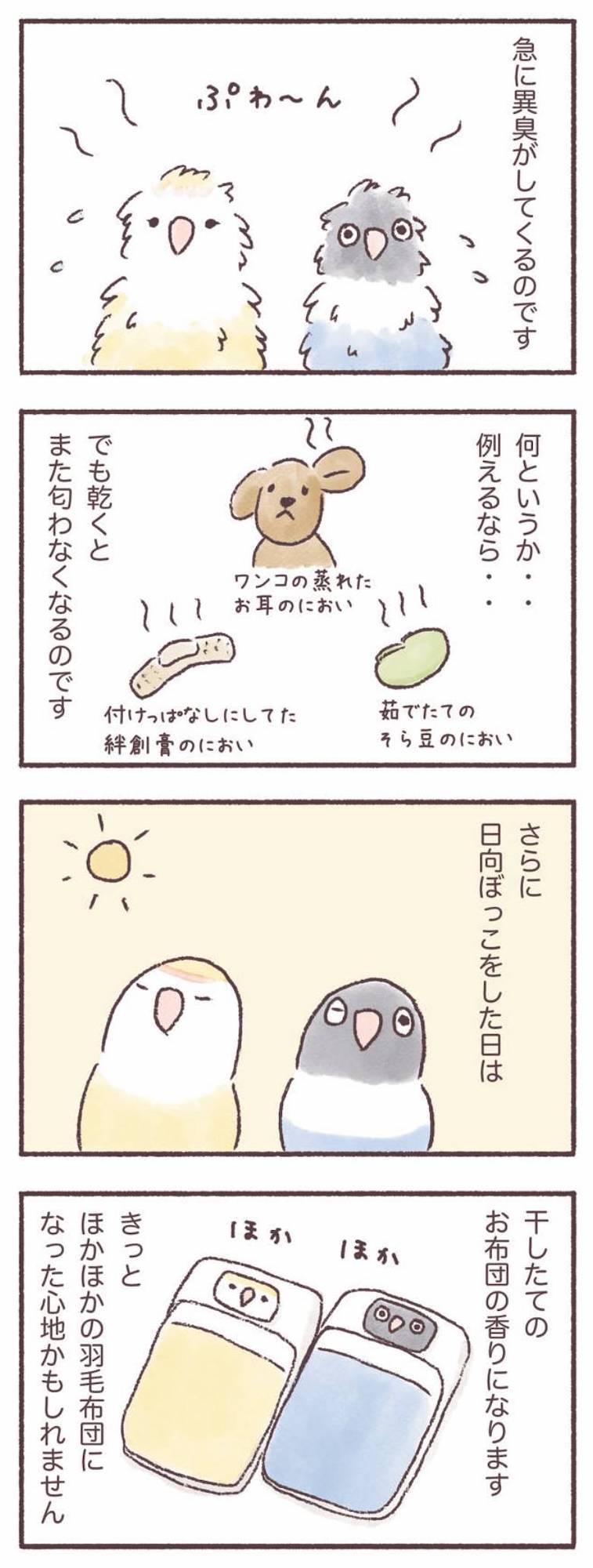 うちのインコたちは今日もおしゃべり