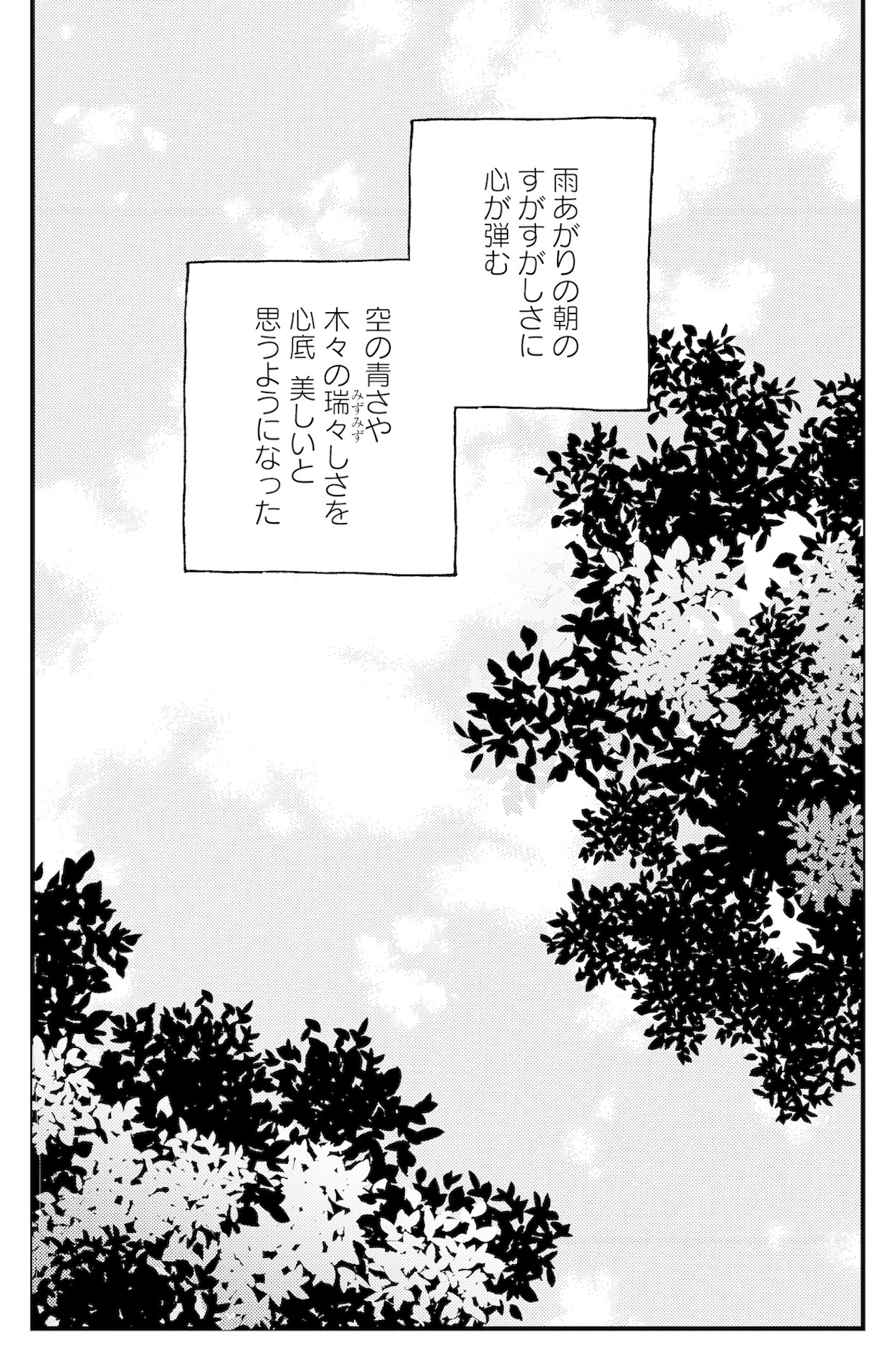 キセキノコイ