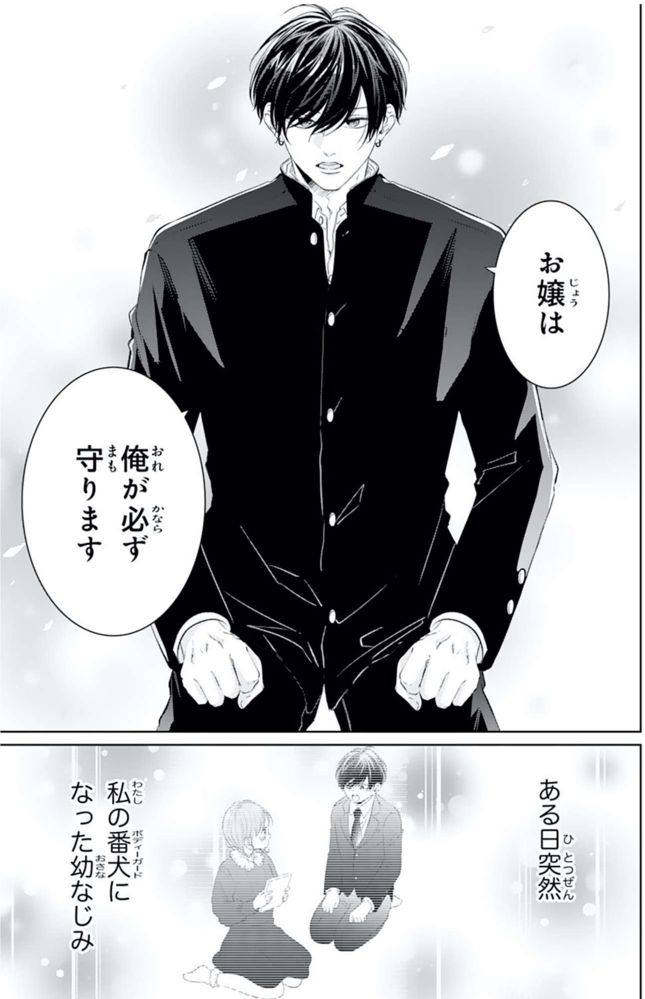 お嬢の愛は俺のもの