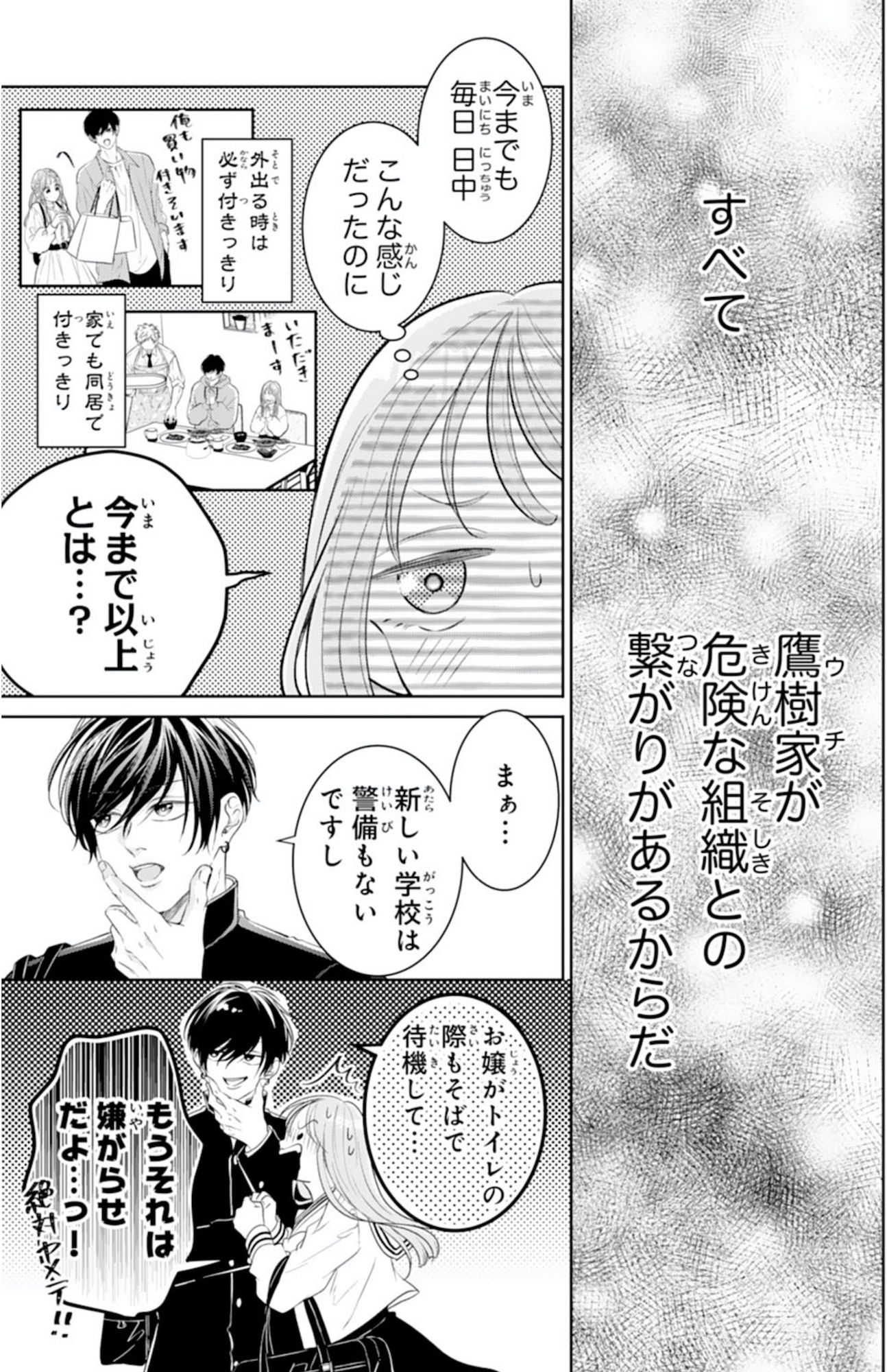お嬢の愛は俺のもの