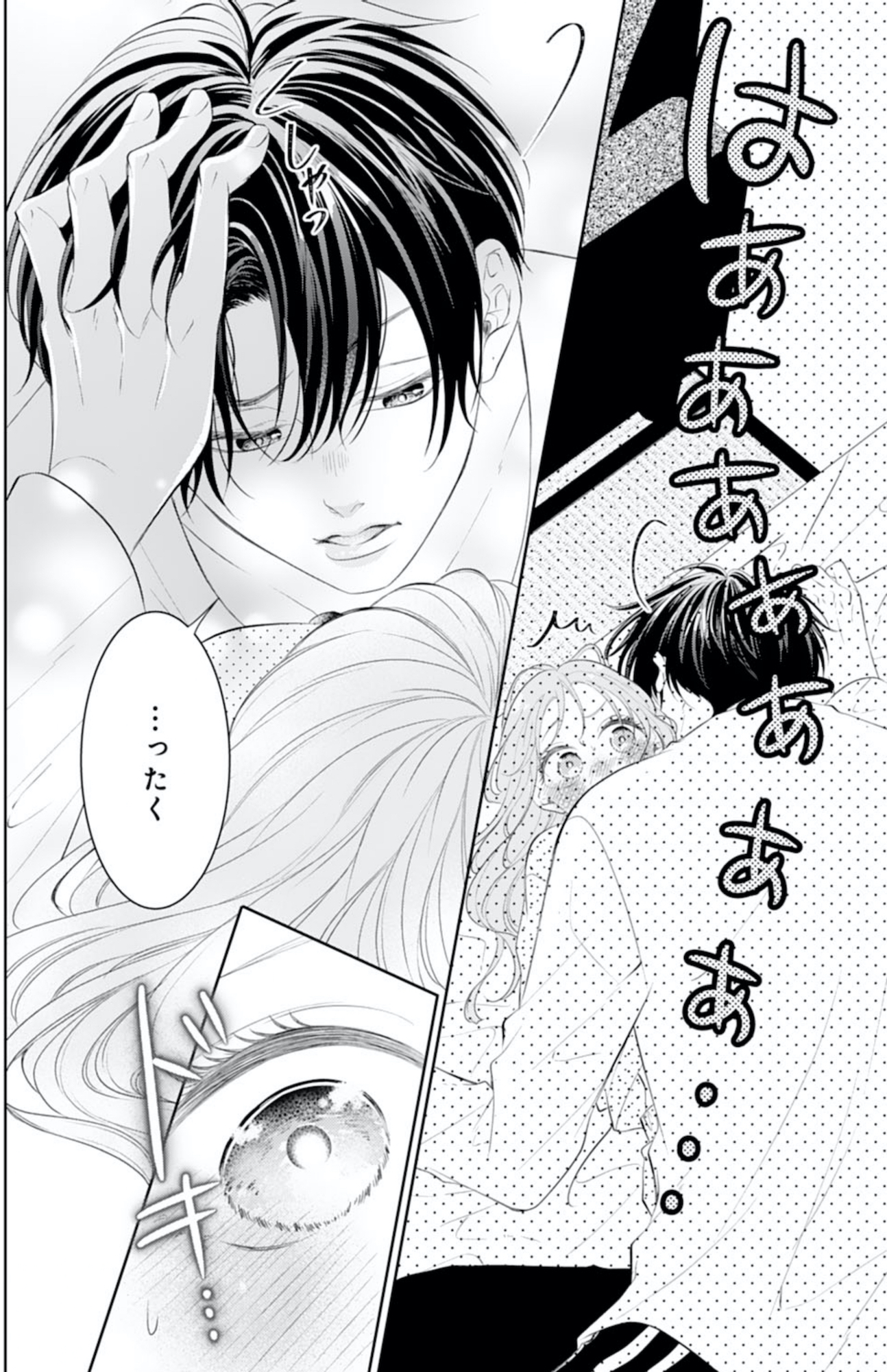 お嬢の愛は俺のもの
