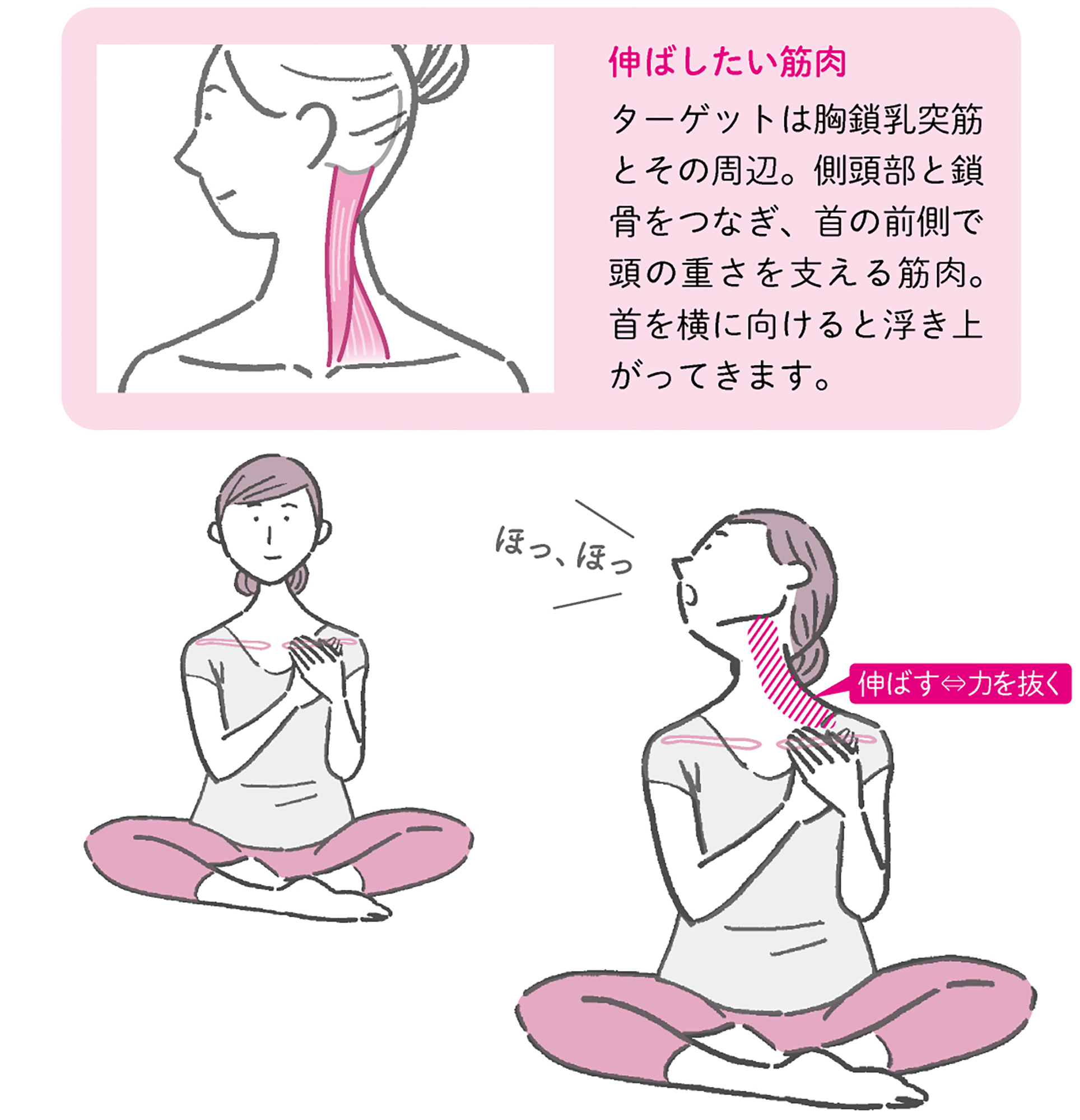 からだめぐる おなかのツボ回し