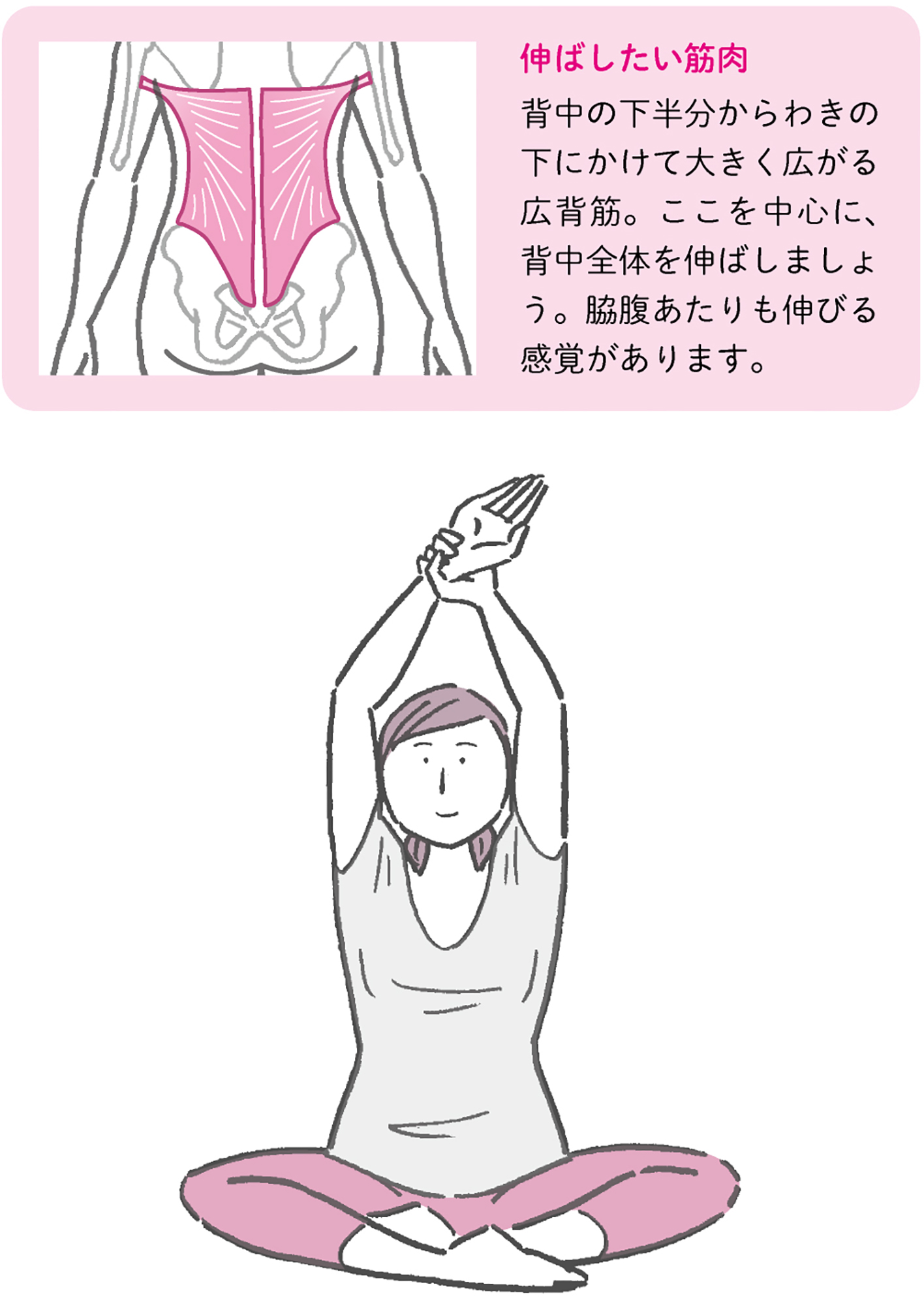 からだめぐる おなかのツボ回し