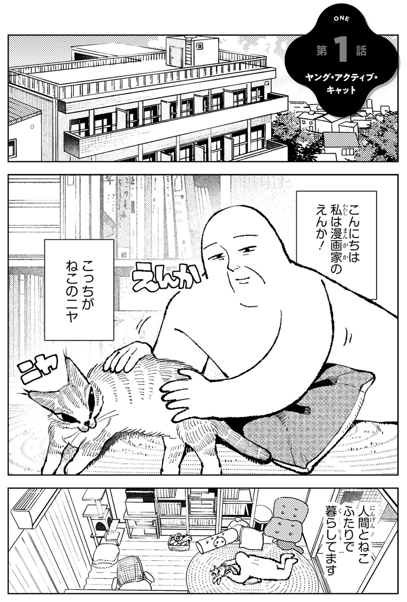 ねこのニヤ