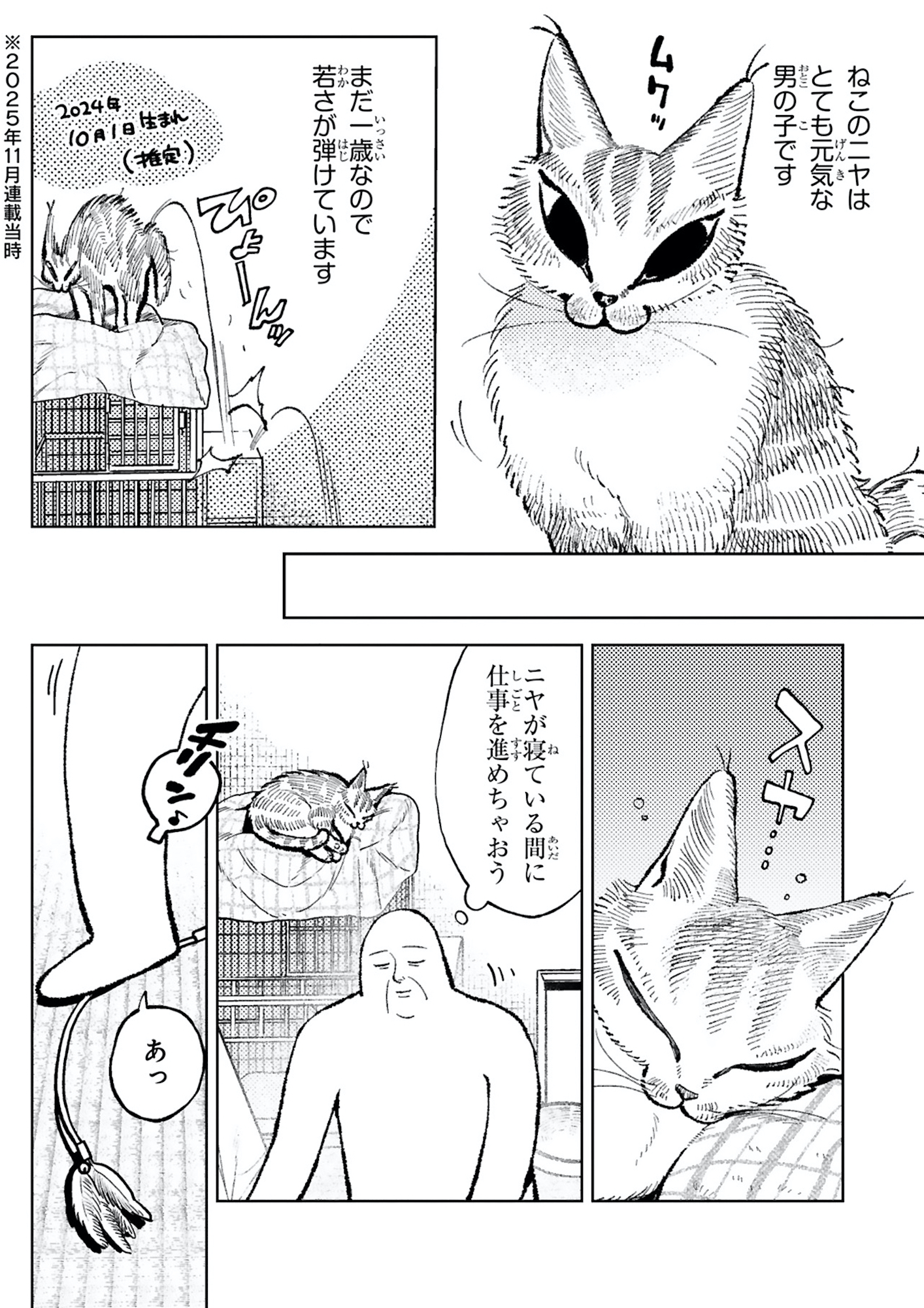 ねこのニヤ