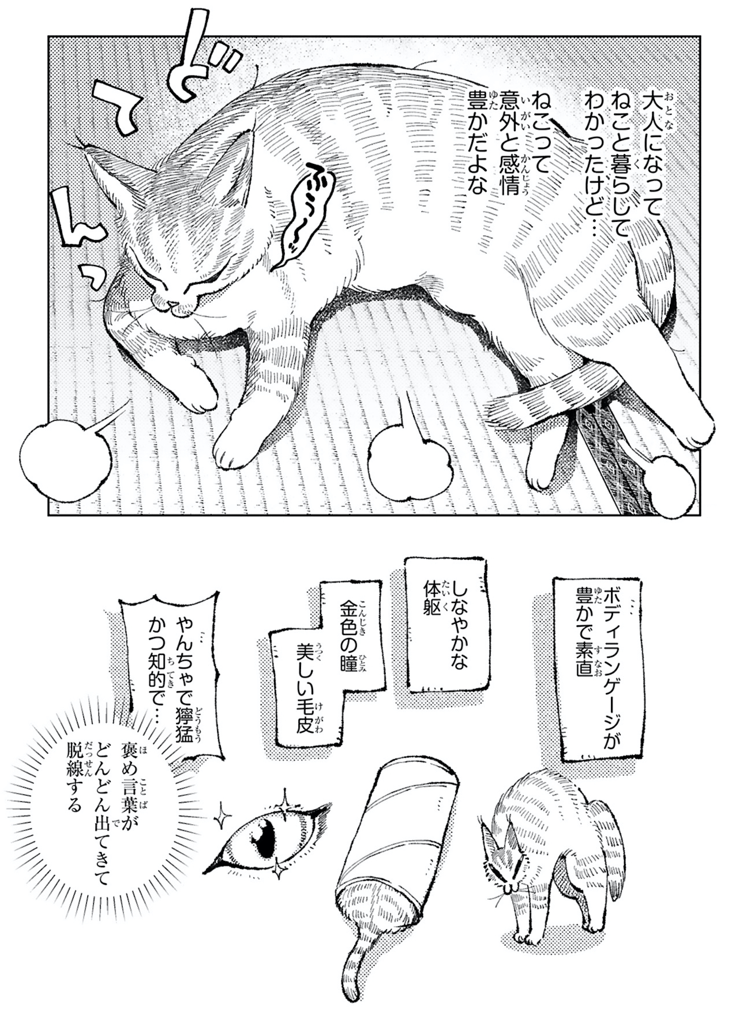 ねこのニヤ