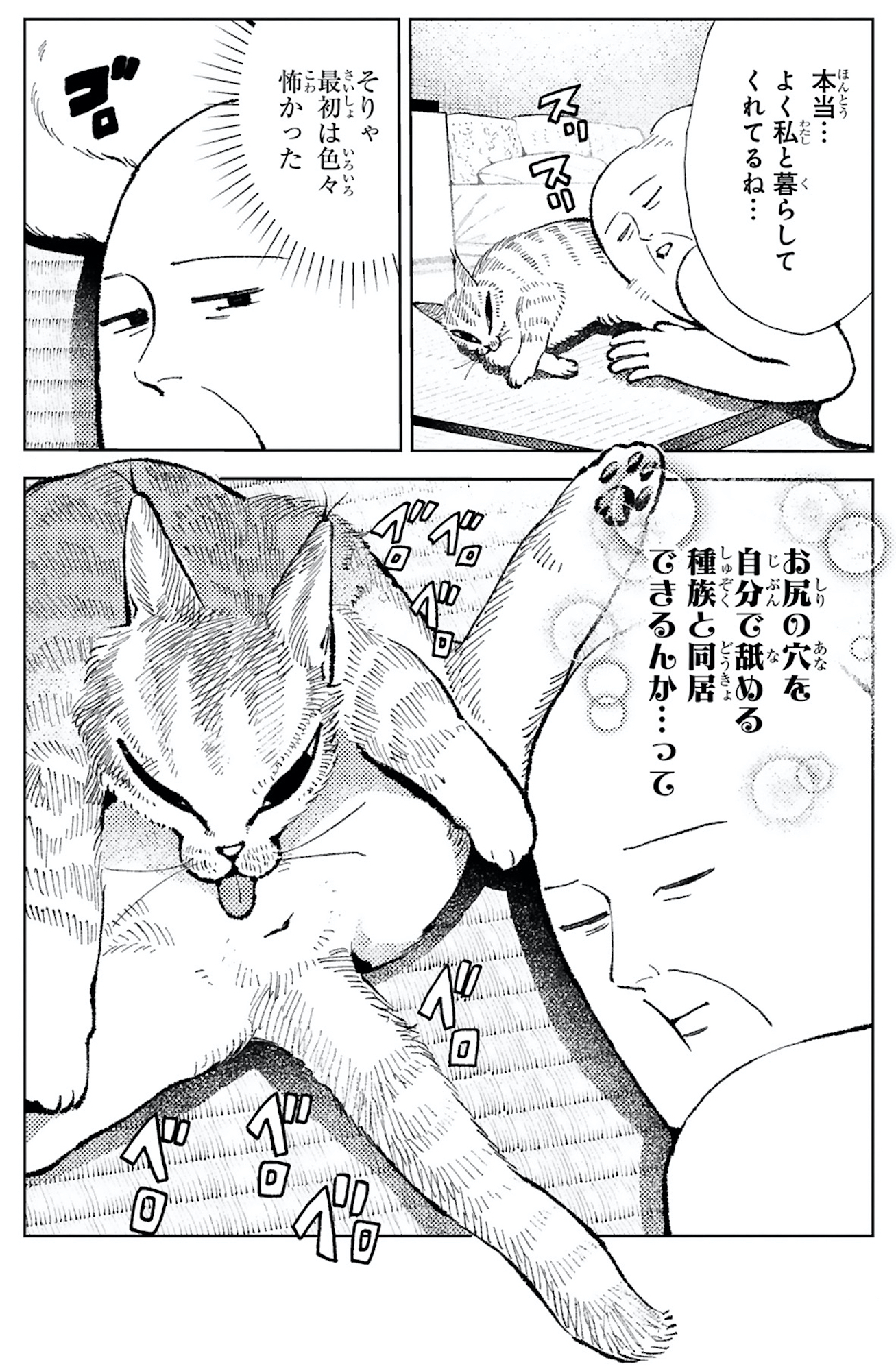 ねこのニヤ
