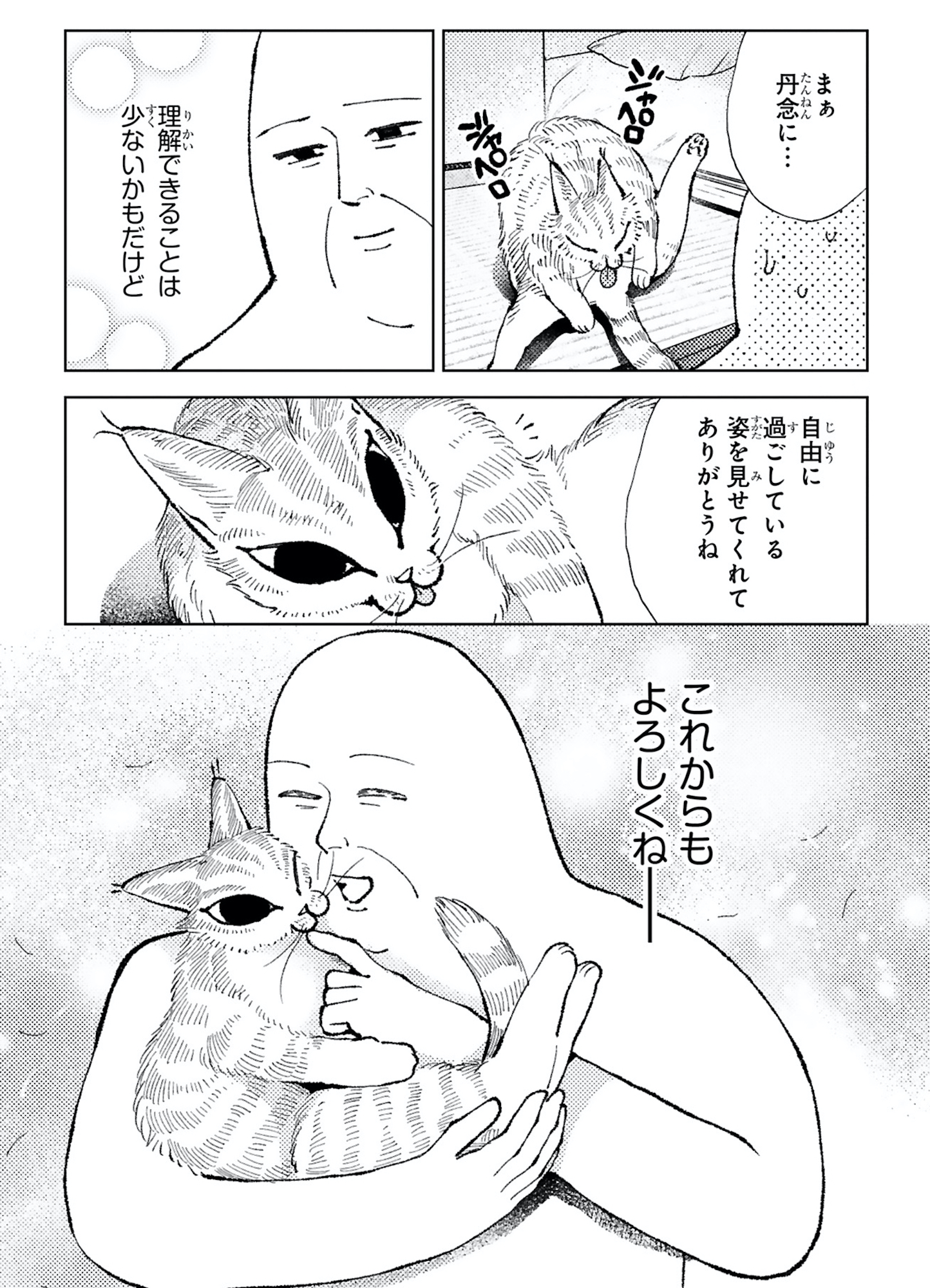 ねこのニヤ