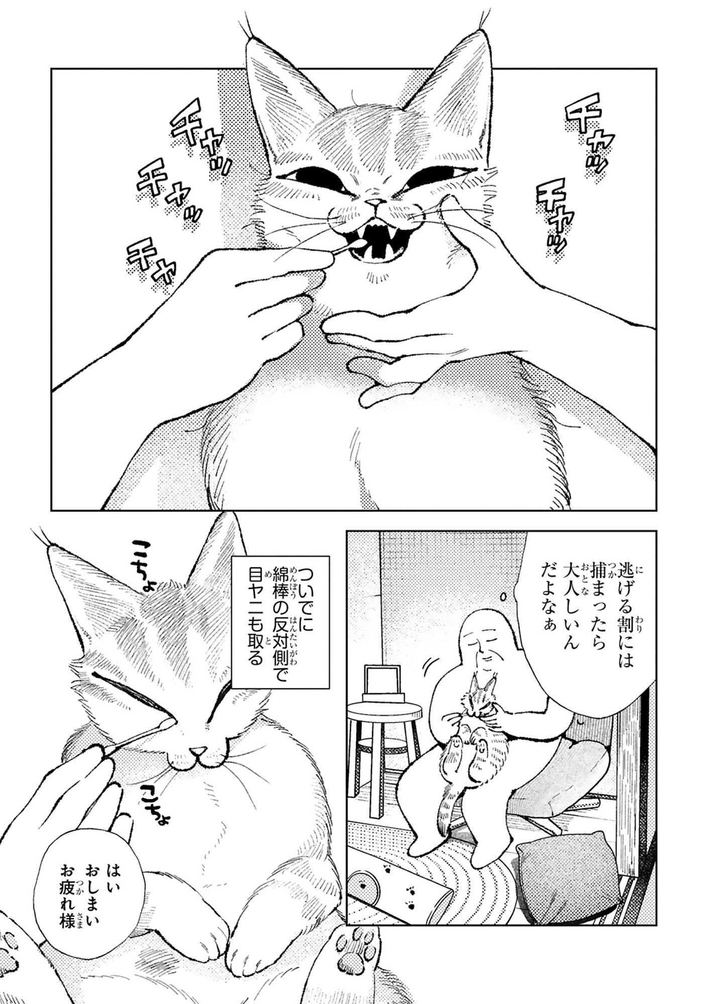 ねこのニヤ